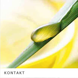 kontakt